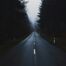 A foggy path stretching into the distance, symbolising the neutral zone in Bridges' transition model